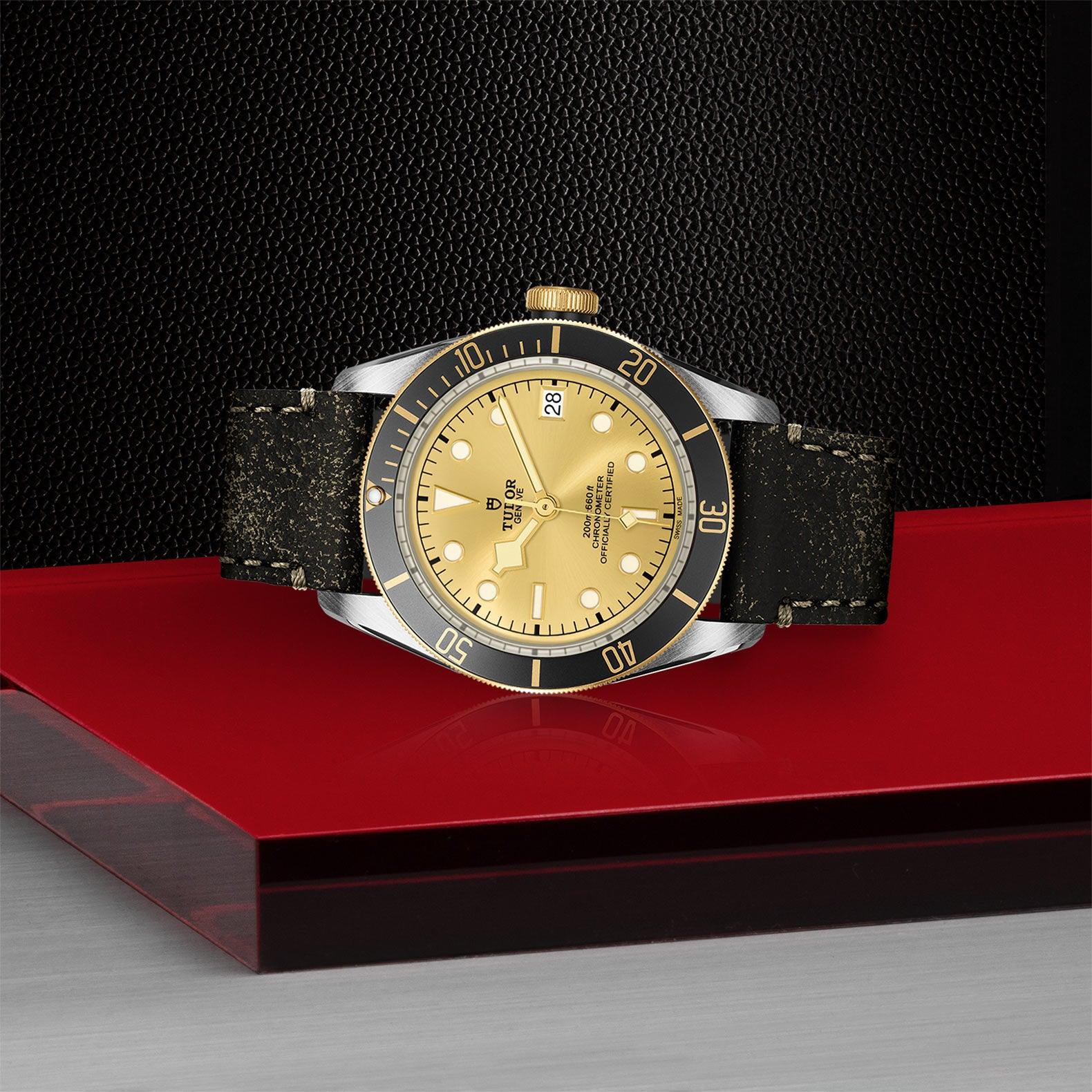 BLACK BAY S&G | 41MM | M79733N-0003 - Image 2