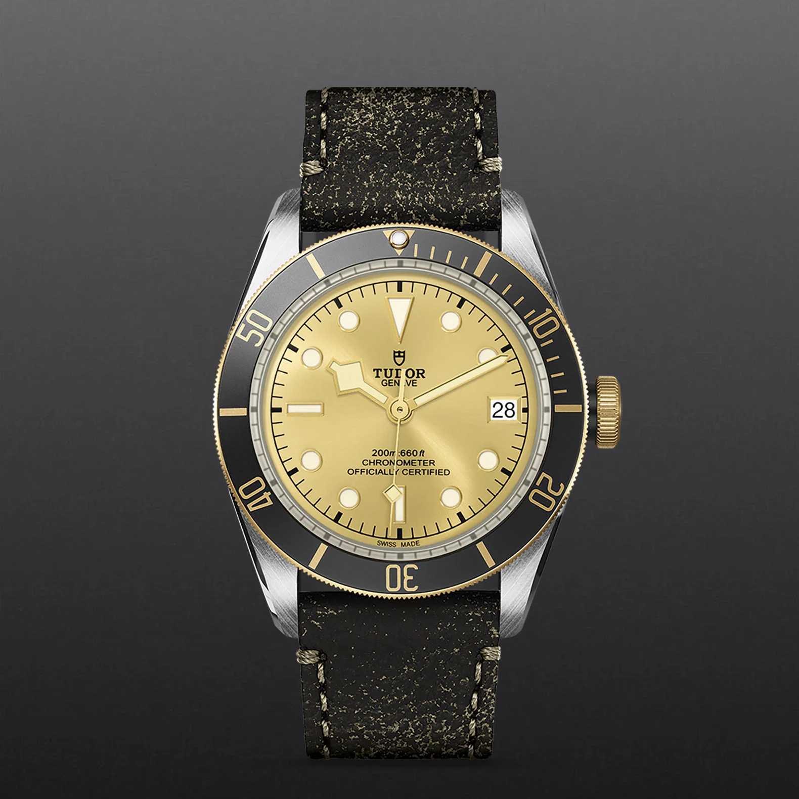 BLACK BAY S&G | 41MM | M79733N-0003 - Image 3