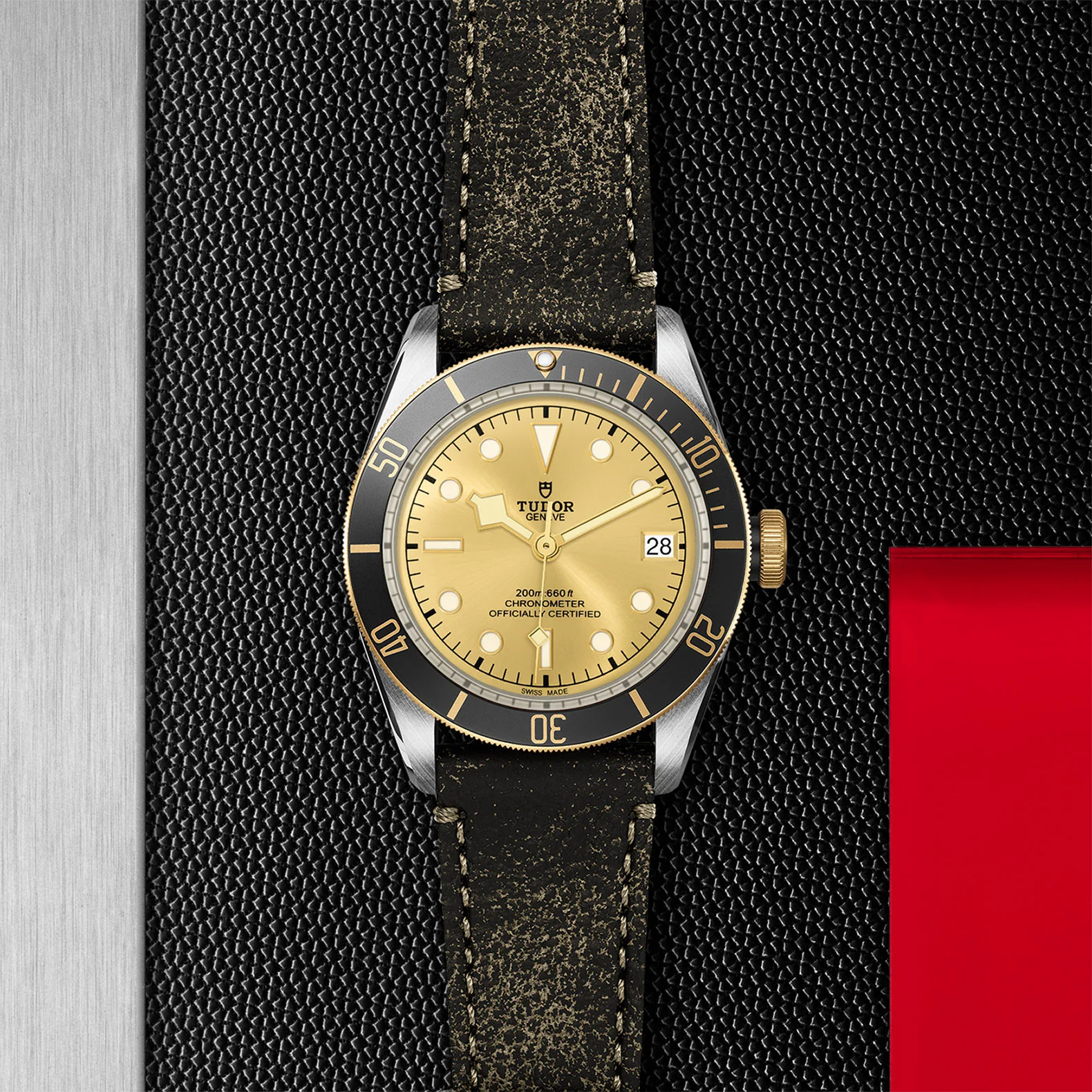 BLACK BAY S&G | 41MM | M79733N-0003 - Image 4