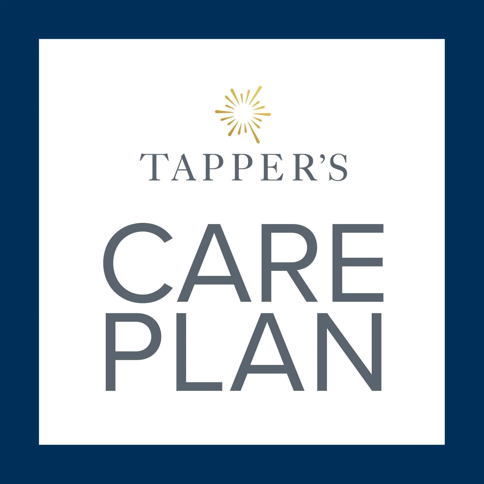 3 Year Timepiece Care Plan