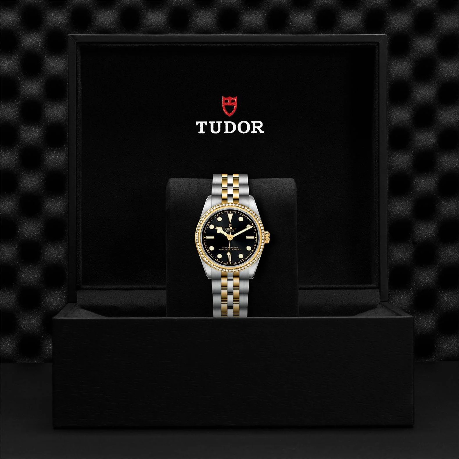 31mm Black Bay Steel and Gold Silver Dial with Diamond Hour Markers and Diamond Bezel Watch by Tudor | M79613-0001 - Image 3