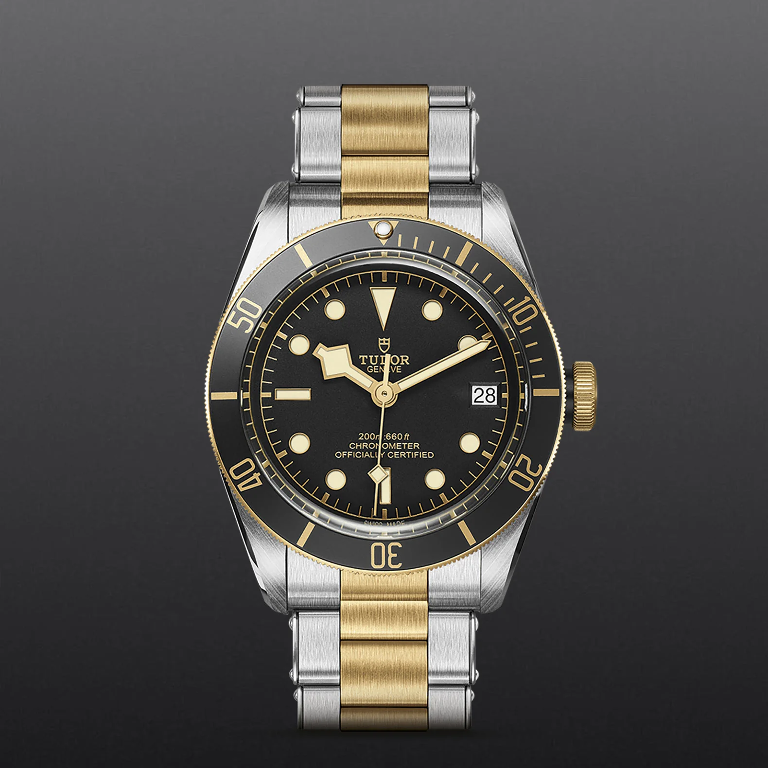 BLACK BAY S&G | 41MM | M79733N-0008 - Image 4