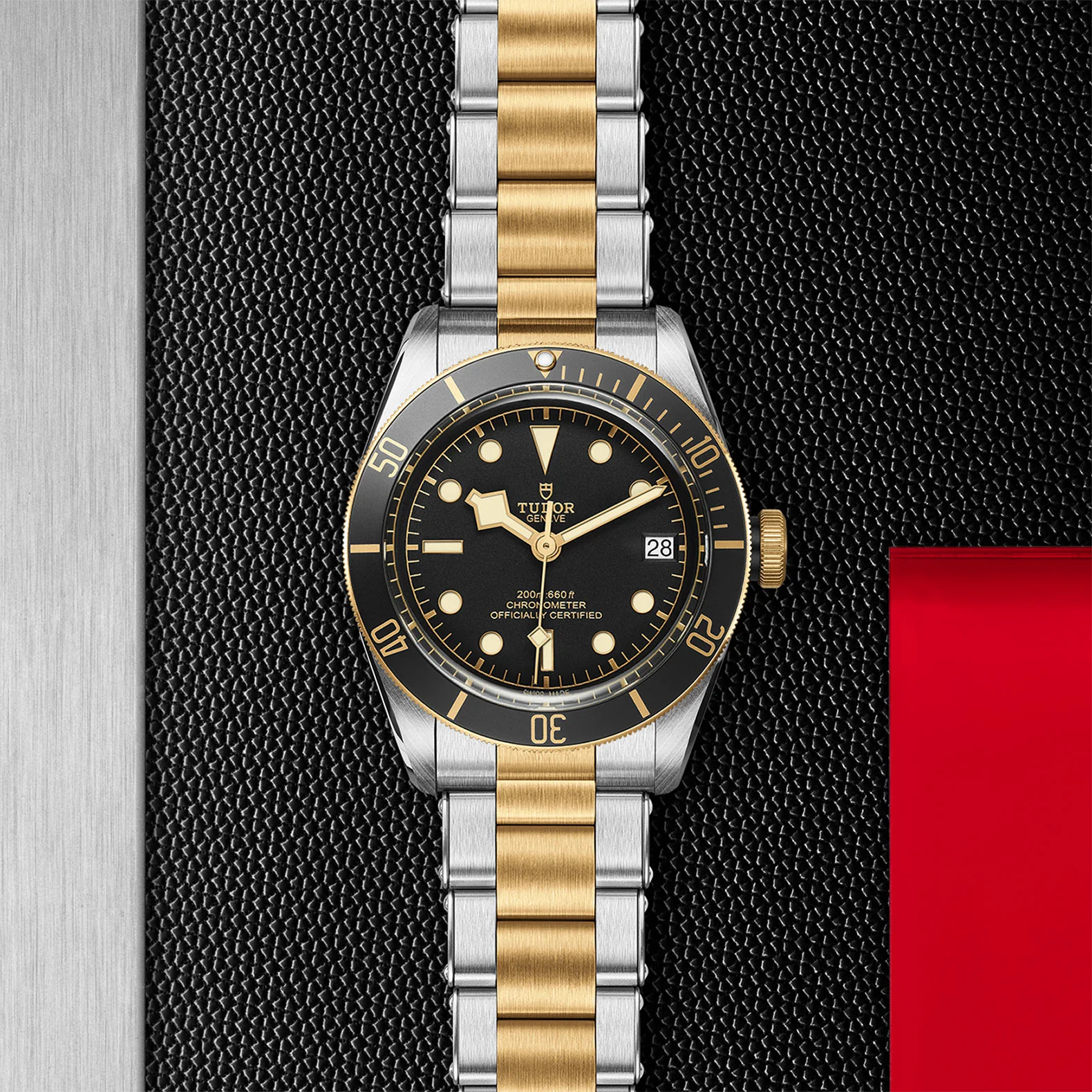 BLACK BAY S&G | 41MM | M79733N-0008 - Image 5
