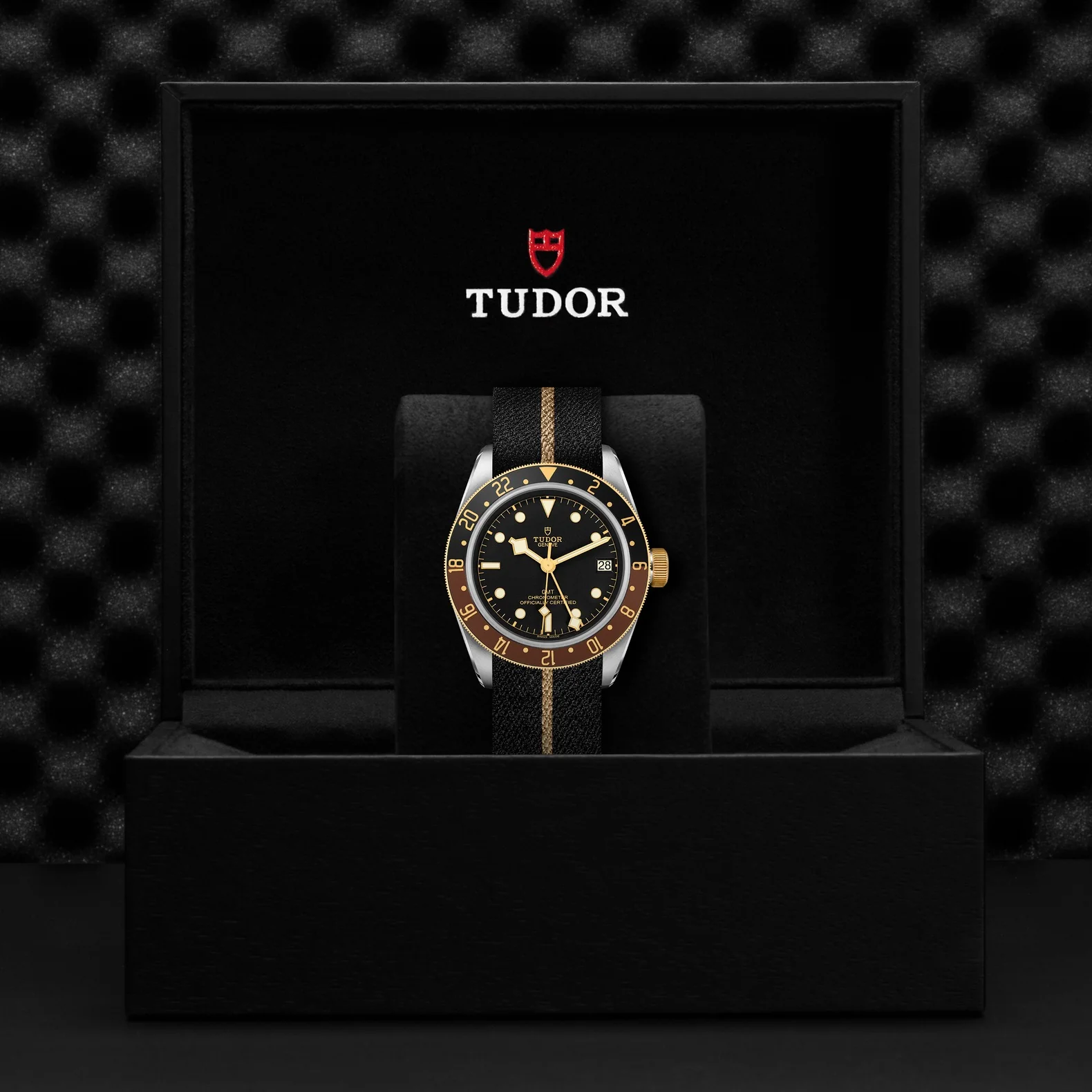 BLACK BAY GMT S&G | 41MM | M79833MN-0004 - Image 3