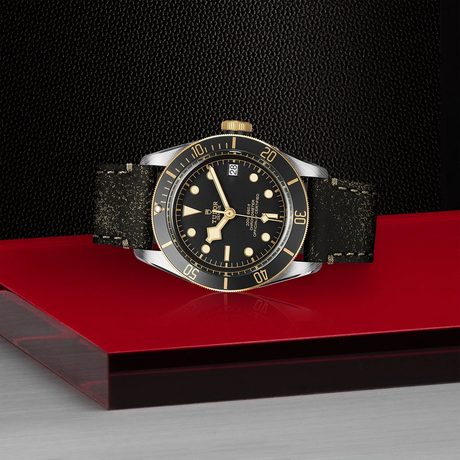 BLACK BAY S&G | 41MM | M79733N-0007 - Image 2