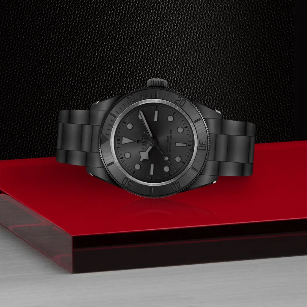 BLACK BAY CERAMIC | 41MM | M7941A1ACNU-0001 - Image 2