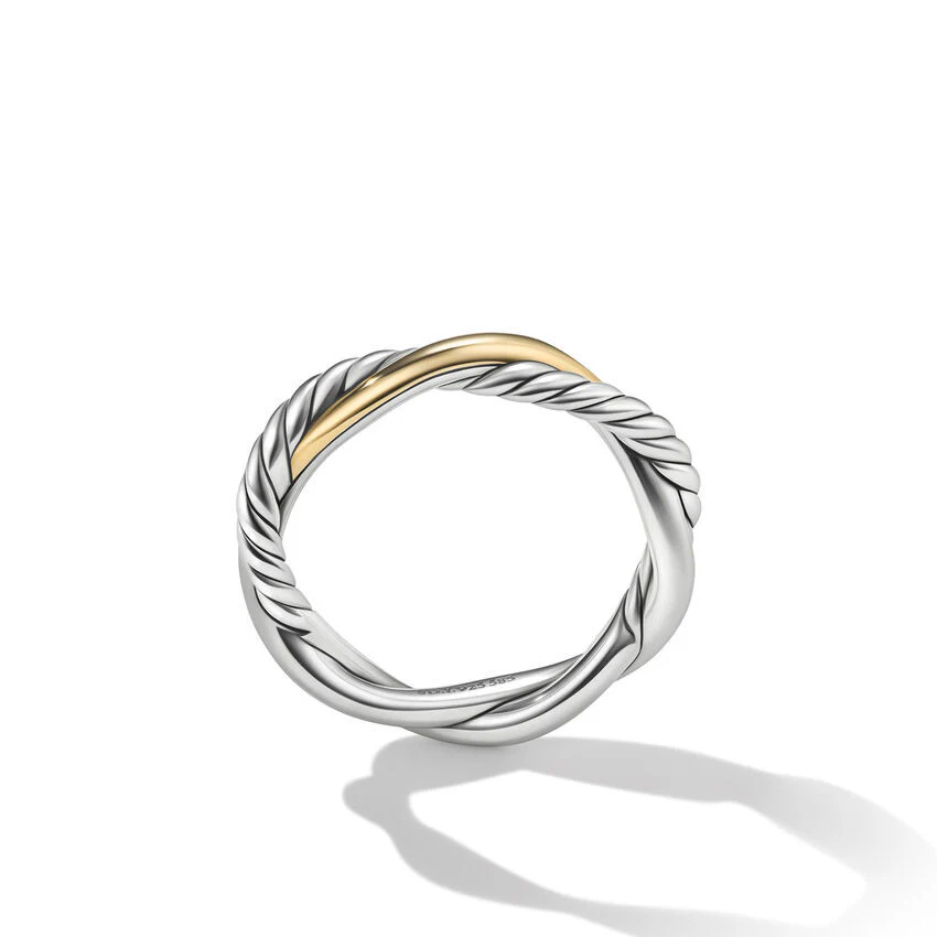 Petite Infinity Band Ring In Sterling Silver With 14K Yellow Gold - Image 2