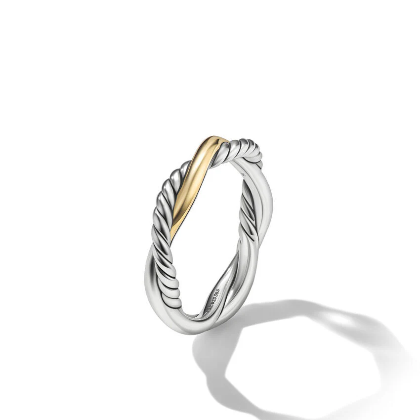 Petite Infinity Band Ring In Sterling Silver With 14K Yellow Gold - Image 3
